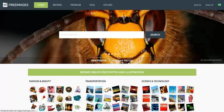 freeimages